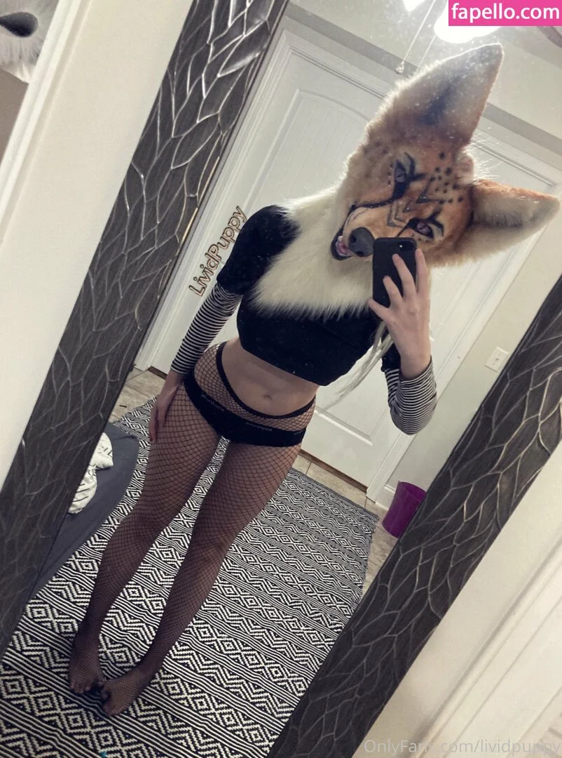 LividPuppy Onlyfans Photo Gallery 