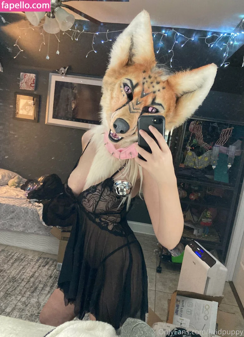 LividPuppy Onlyfans Photo Gallery 