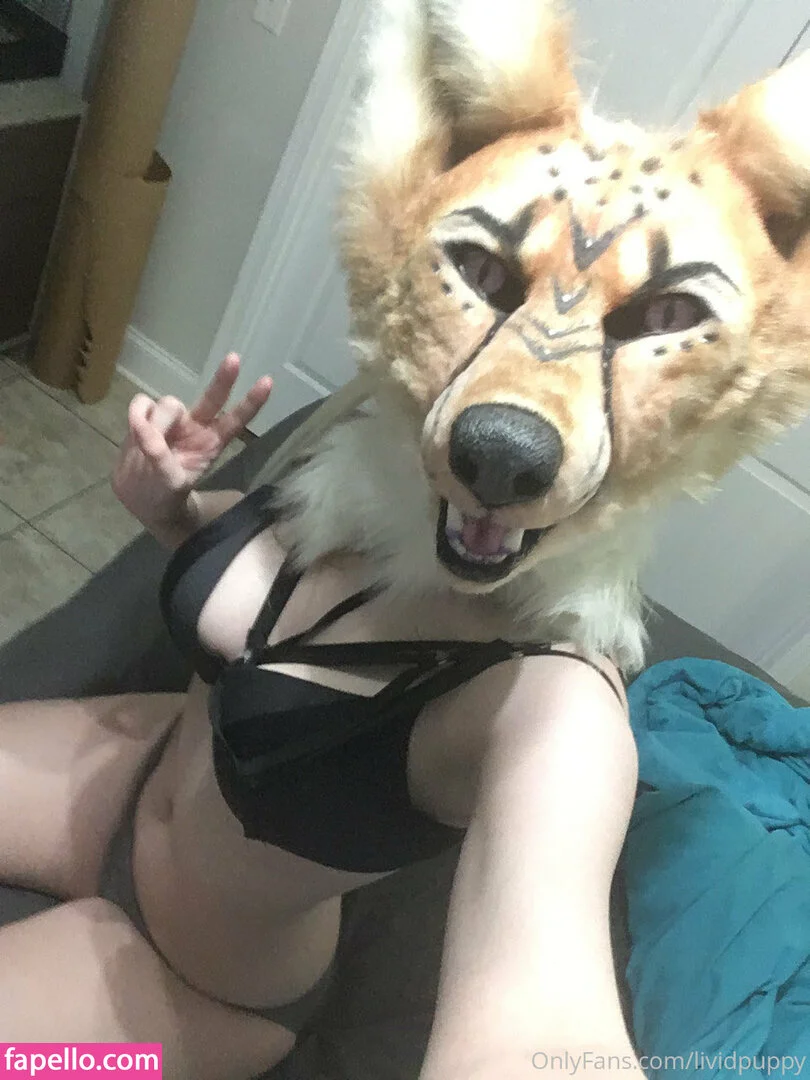 LividPuppy Onlyfans Photo Gallery 