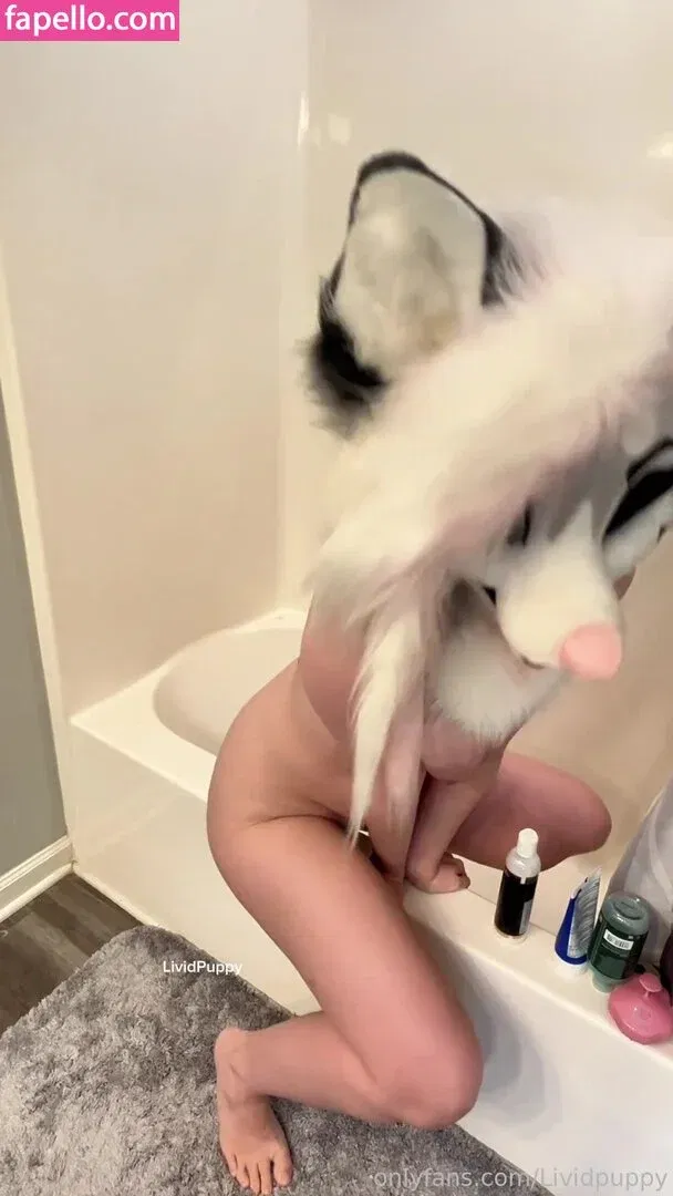 LividPuppy Onlyfans Photo Gallery 