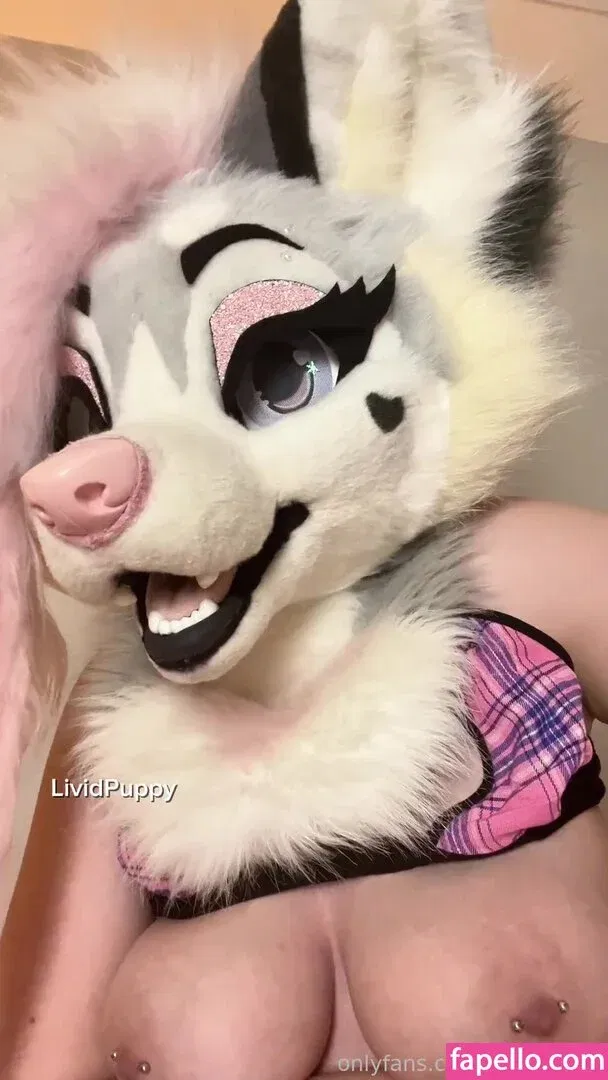 LividPuppy Onlyfans Photo Gallery 