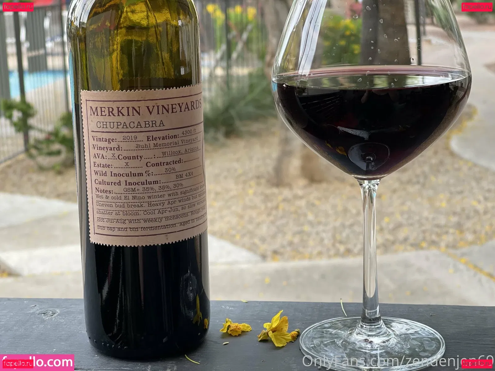 zendenjen69 Onlyfans Photo Gallery 