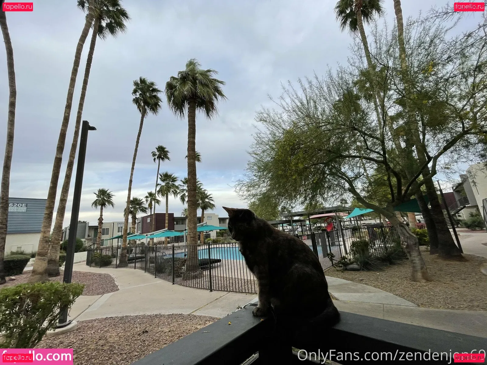 zendenjen69 Onlyfans Photo Gallery 