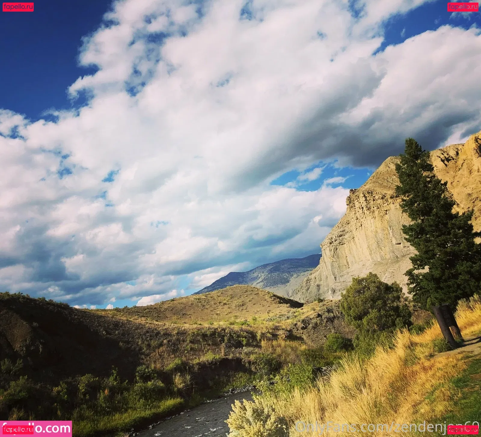 zendenjen69 Onlyfans Photo Gallery 