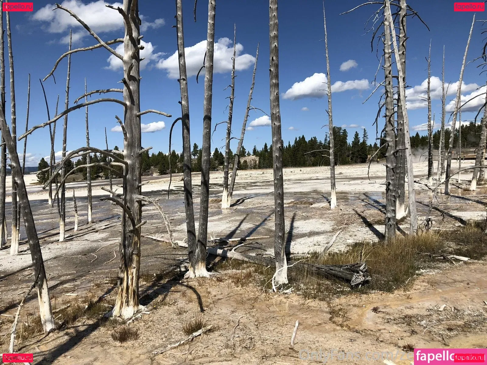 zendenjen69 Onlyfans Photo Gallery 