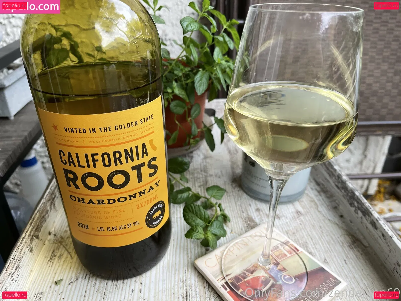 zendenjen69 Onlyfans Photo Gallery 