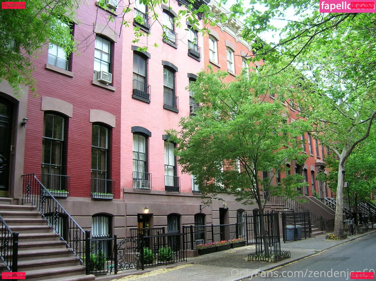 zendenjen69 Onlyfans Photo Gallery 