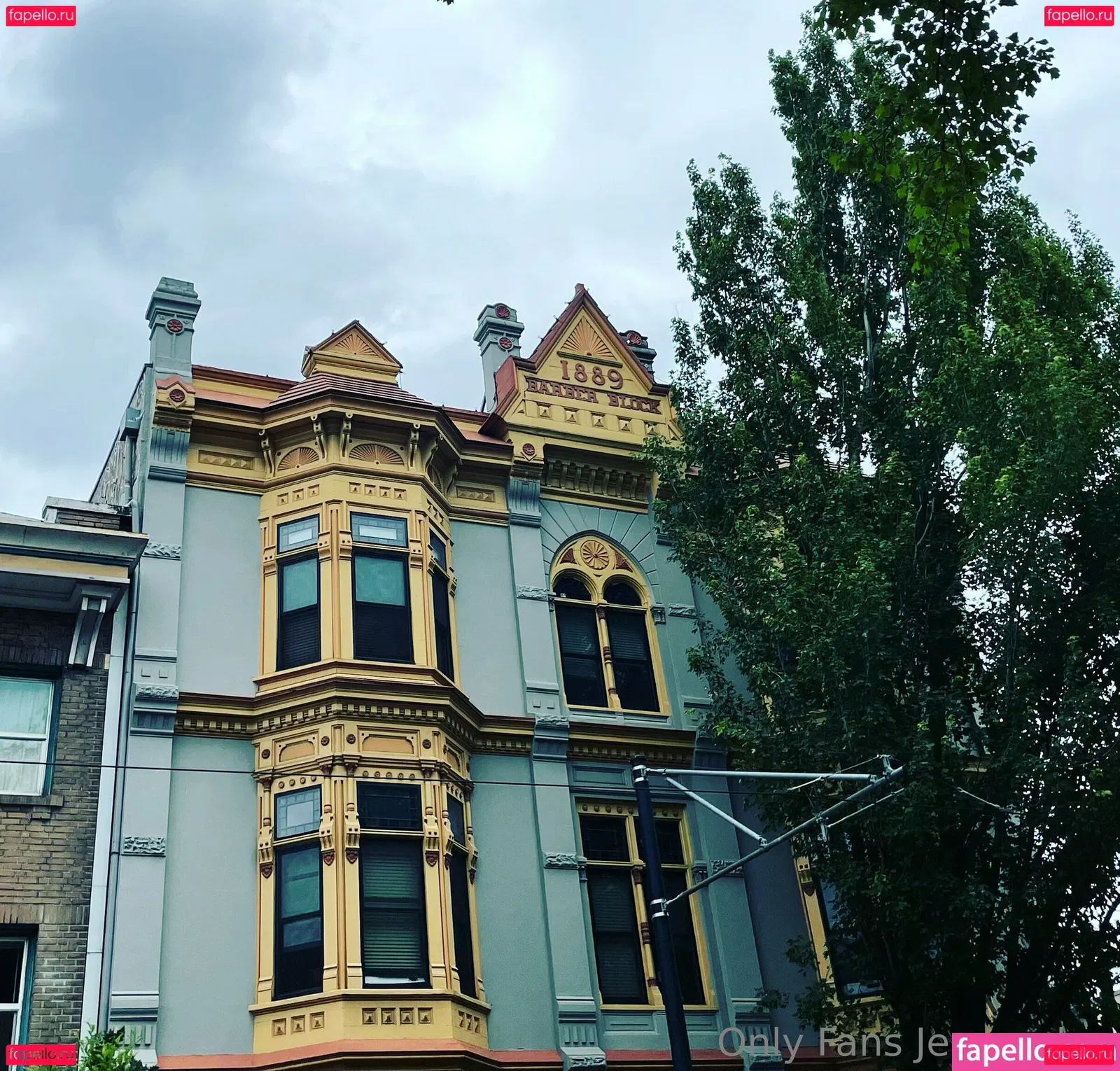 zendenjen69 Onlyfans Photo Gallery 