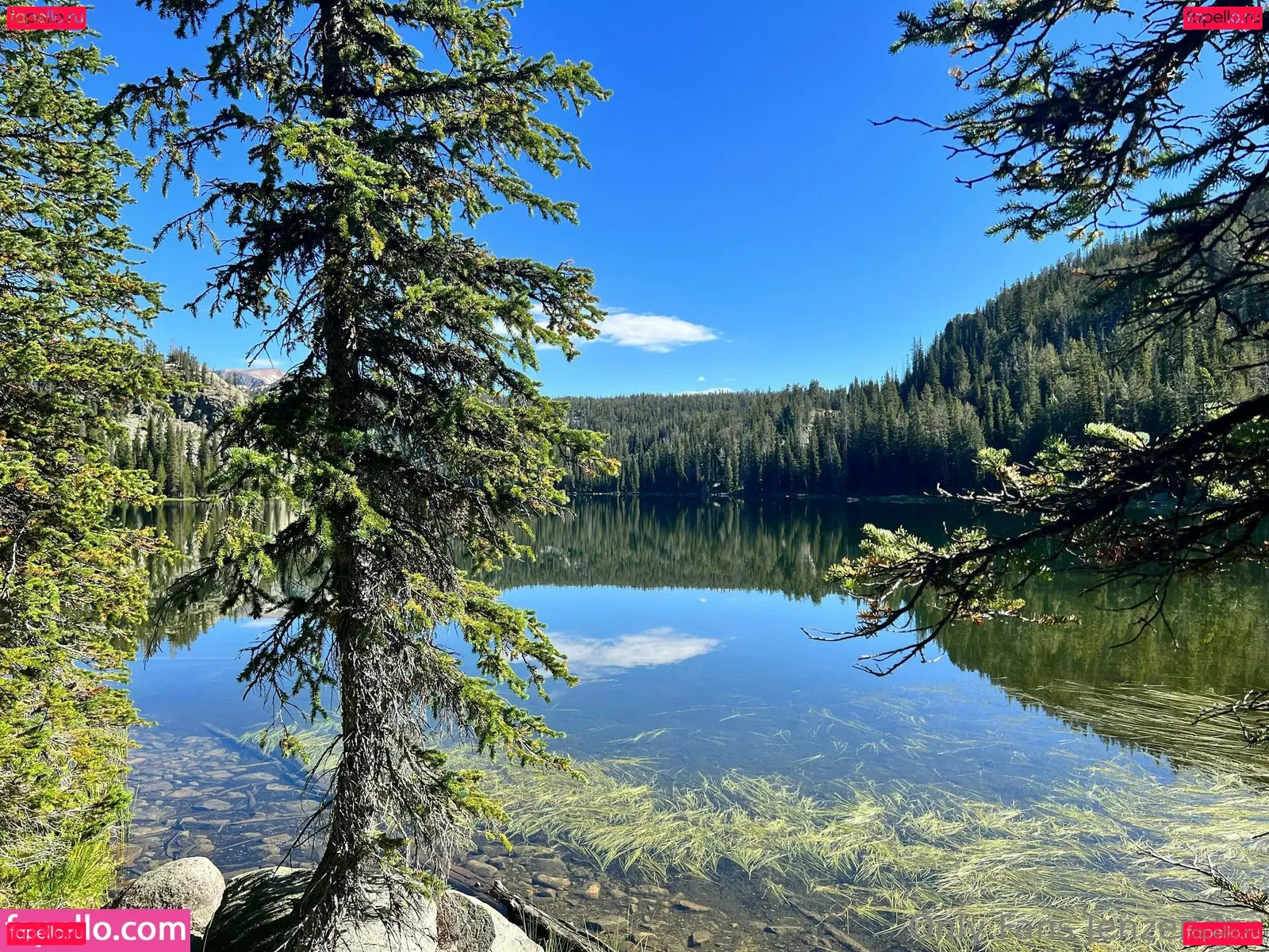 zendenjen69 Onlyfans Photo Gallery 