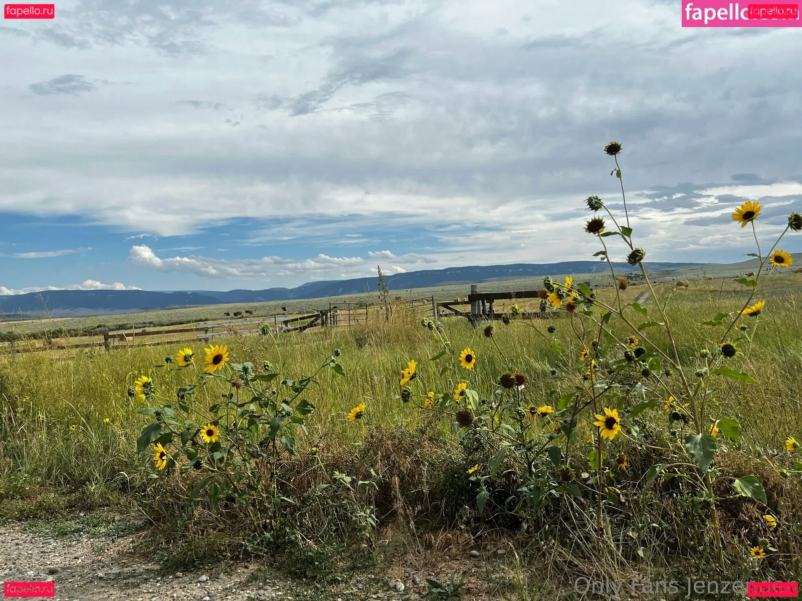 zendenjen69 Onlyfans Photo Gallery 