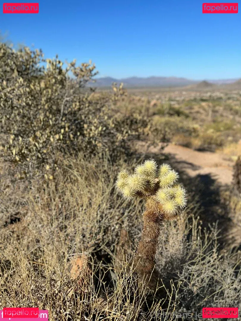 zendenjen69 Onlyfans Photo Gallery 