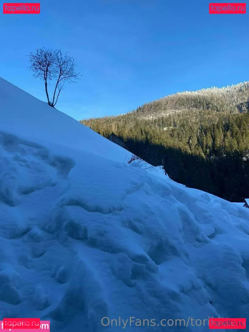 torikitten Onlyfans Photo Gallery 