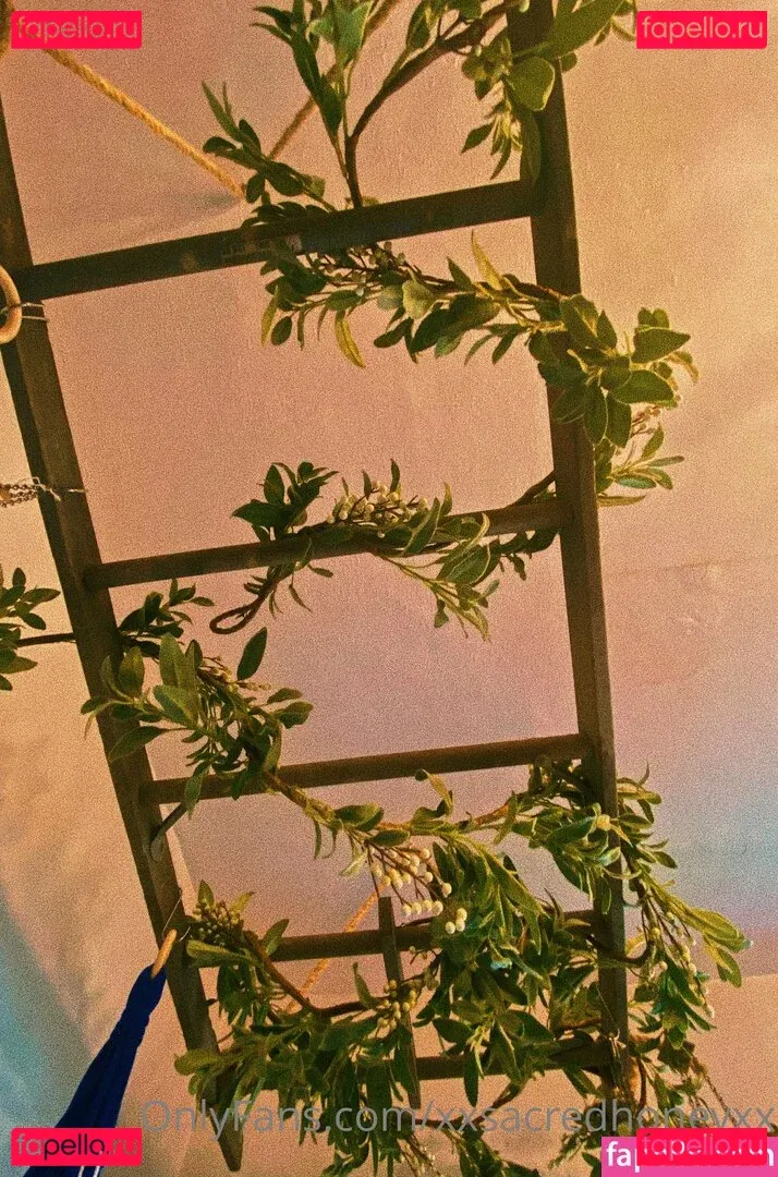 xxsacredhoneyxx Onlyfans Photo Gallery 