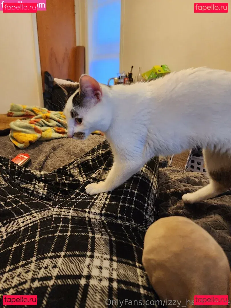 izzy_hellbourne Onlyfans Photo Gallery 