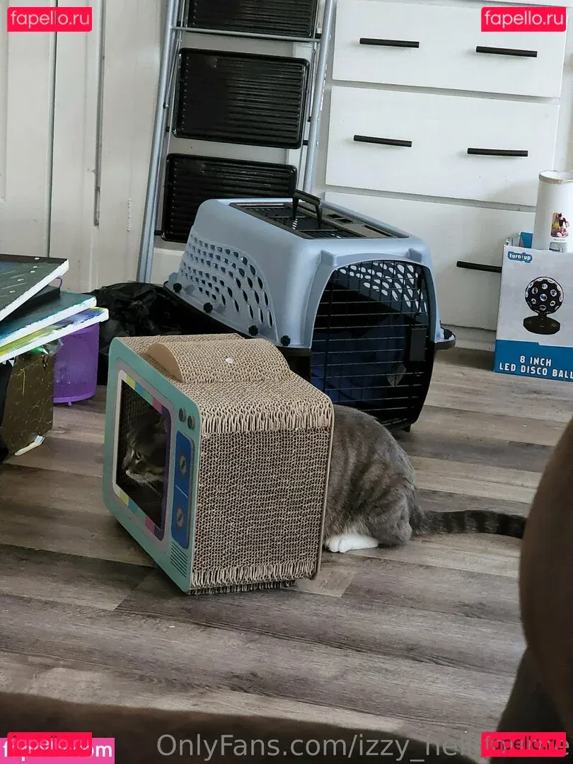 izzy_hellbourne Onlyfans Photo Gallery 