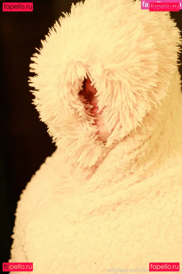 visceralvixen69 Onlyfans Photo Gallery 