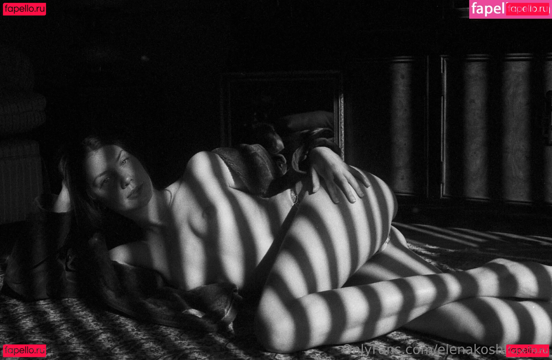 Elenakoshkaxoxo Onlyfans Photo Gallery 