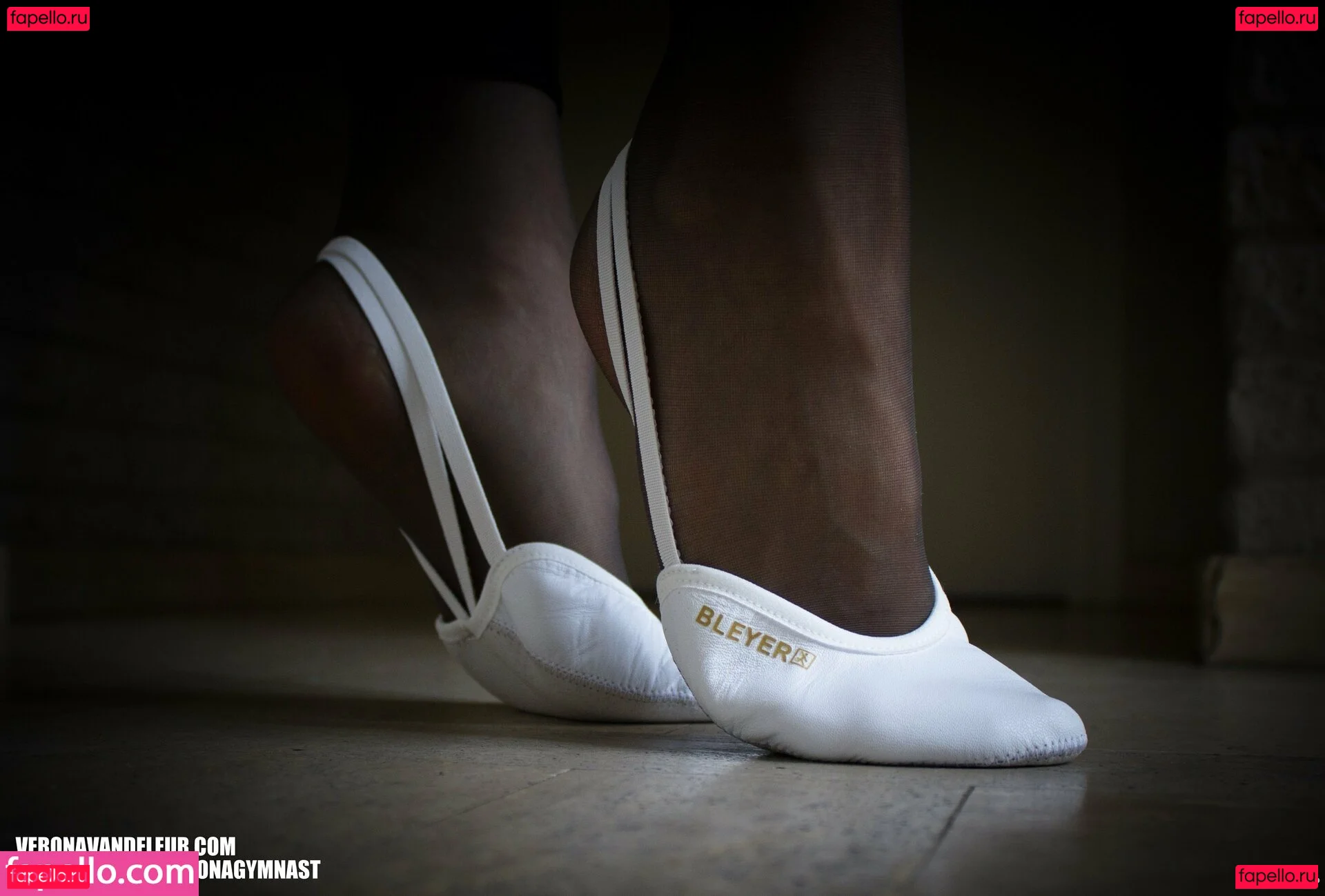 veronavandeleur Onlyfans Photo Gallery 