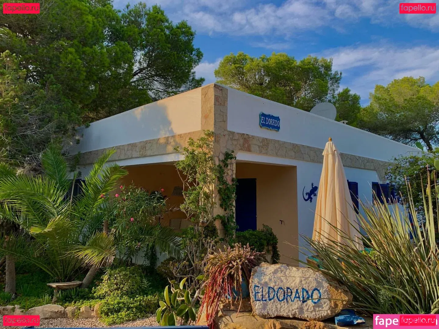 Vittoria Onlyfans Photo Gallery 