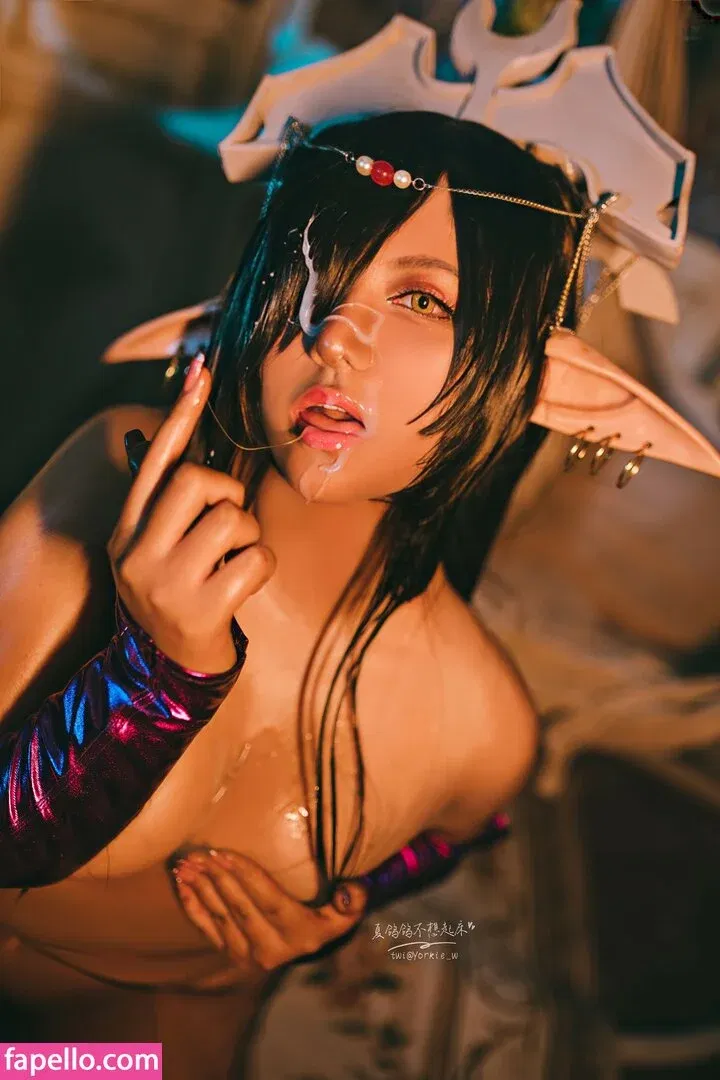 Yorkie Onlyfans Photo Gallery 