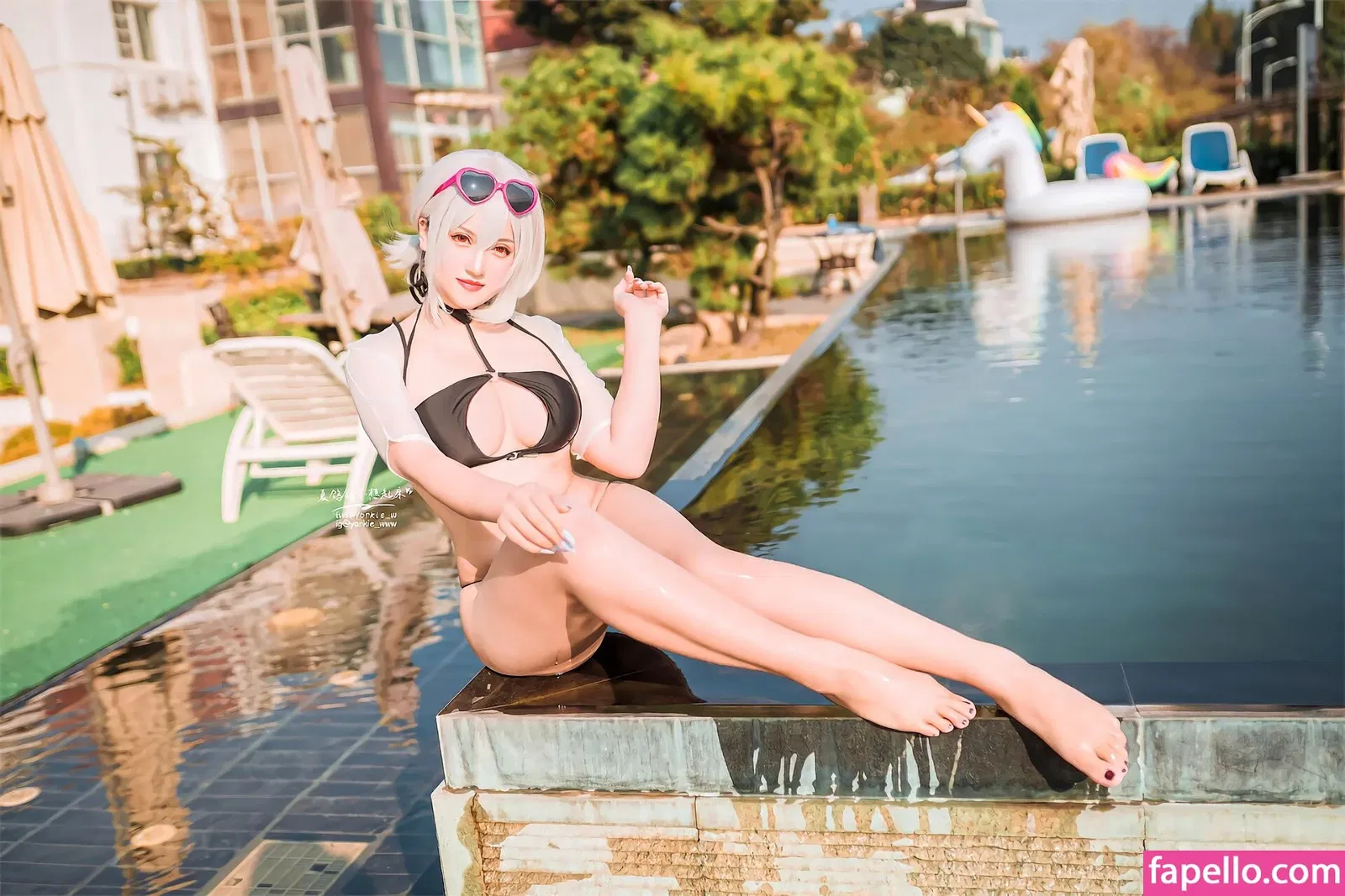 Yorkie Onlyfans Photo Gallery 