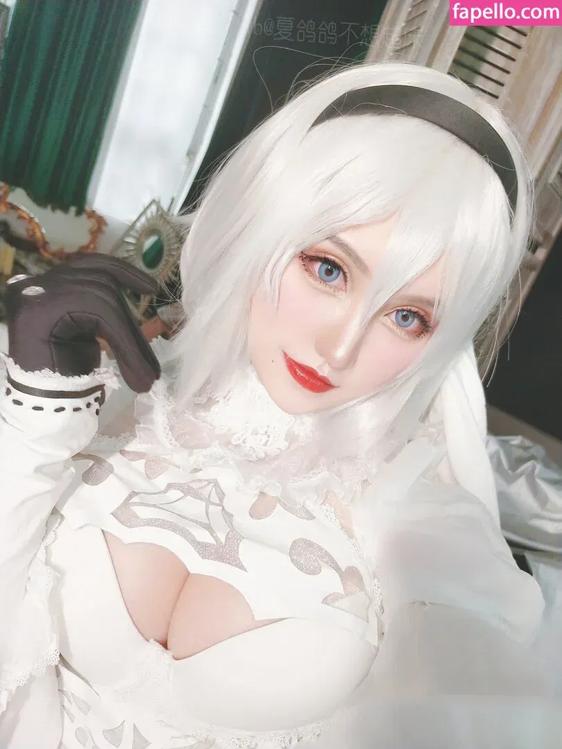 Yorkie Onlyfans Photo Gallery 