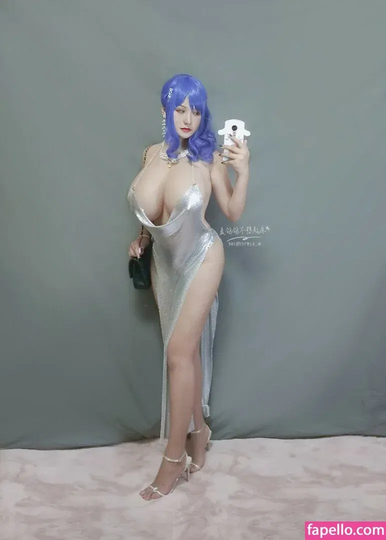 Yorkie Onlyfans Photo Gallery 