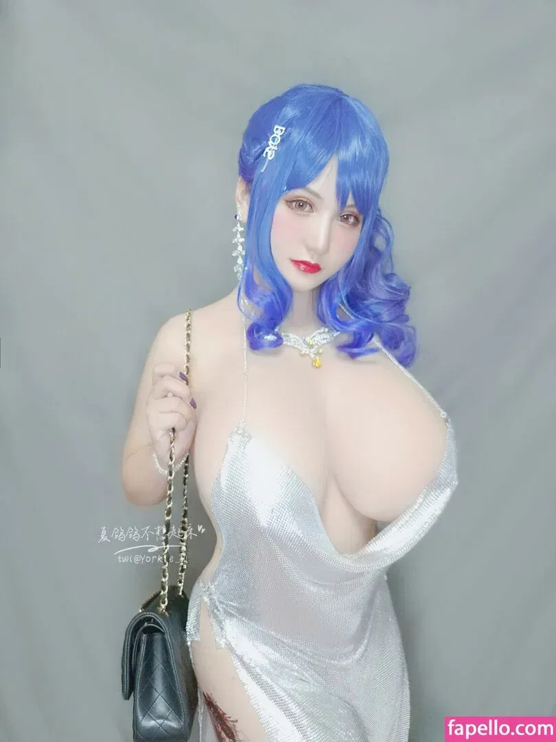 Yorkie Onlyfans Photo Gallery 