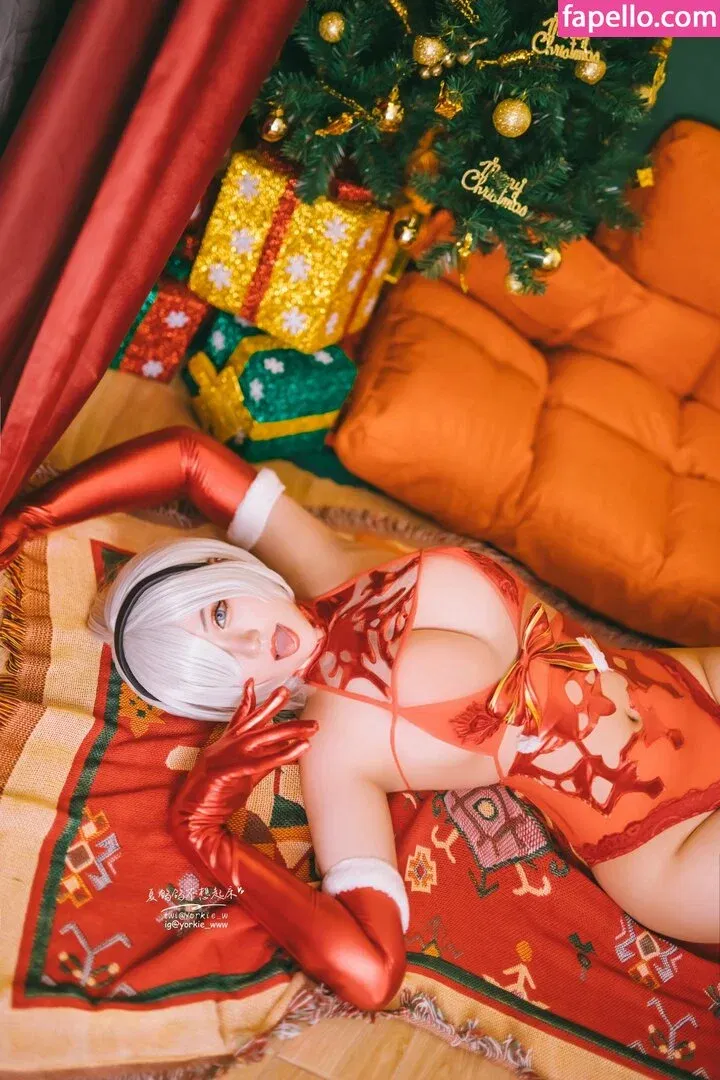 Yorkie Onlyfans Photo Gallery 