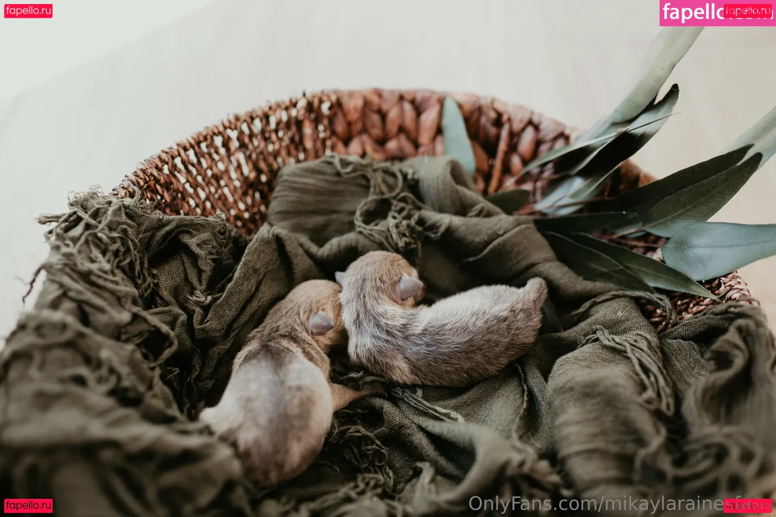 mikaylarainesfans Onlyfans Photo Gallery 