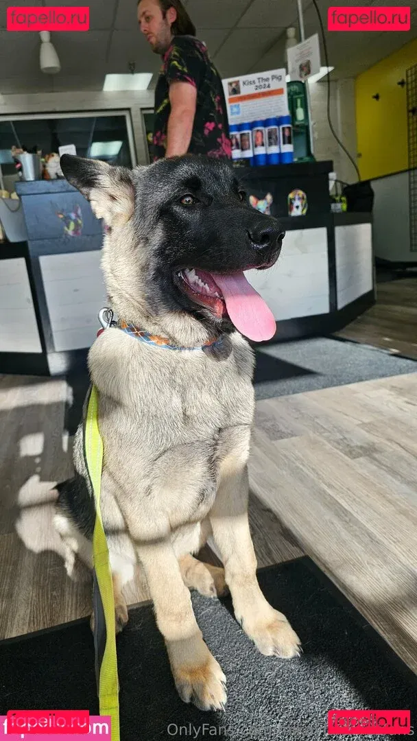 mikaylarainesfans Onlyfans Photo Gallery 