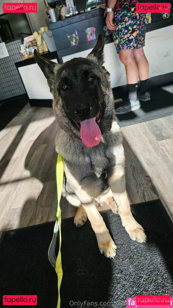 mikaylarainesfans Onlyfans Photo Gallery 