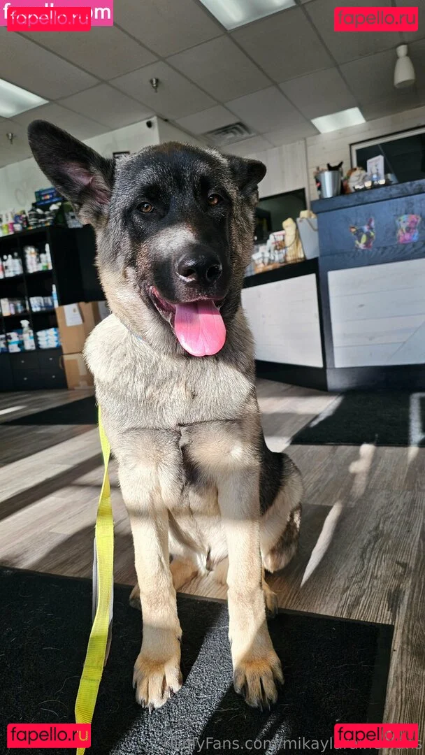 mikaylarainesfans Onlyfans Photo Gallery 