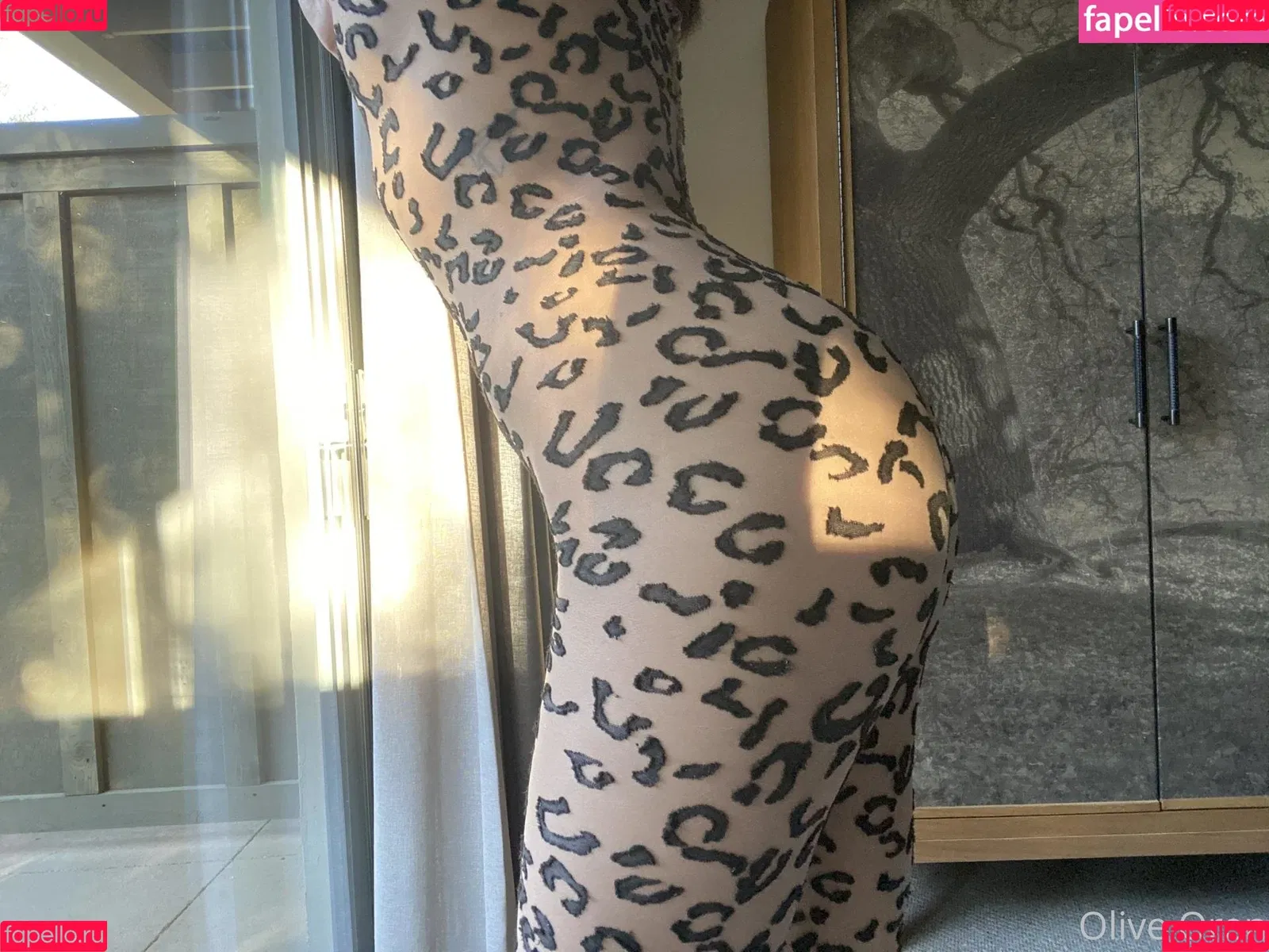 oliveoren Onlyfans Photo Gallery 