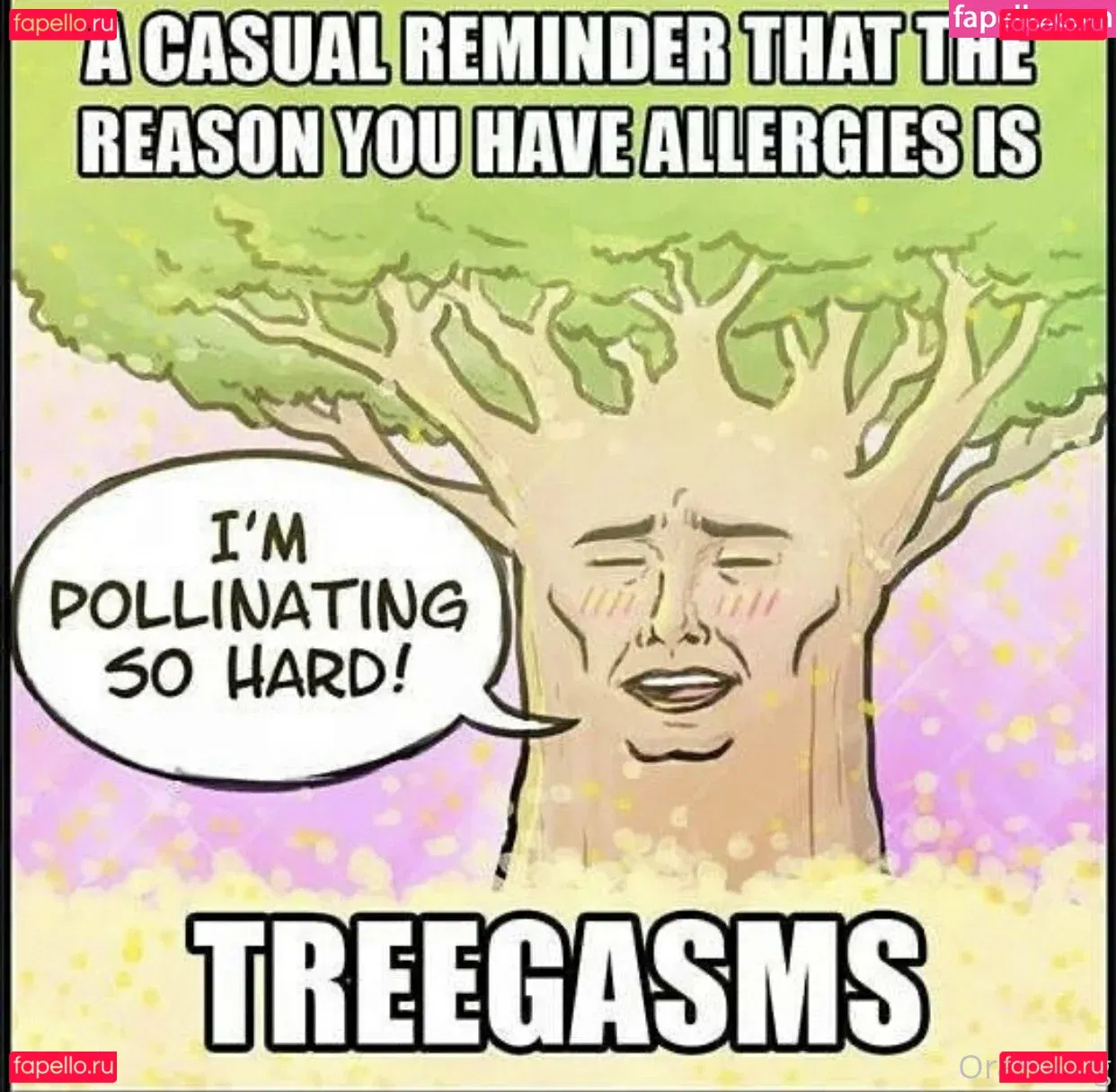 onlyora Onlyfans Photo Gallery 