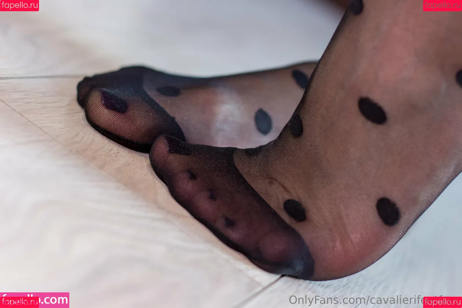 cavalierifeetfree Onlyfans Photo Gallery 