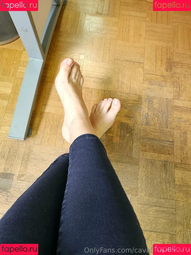 cavalierifeetfree Onlyfans Photo Gallery 