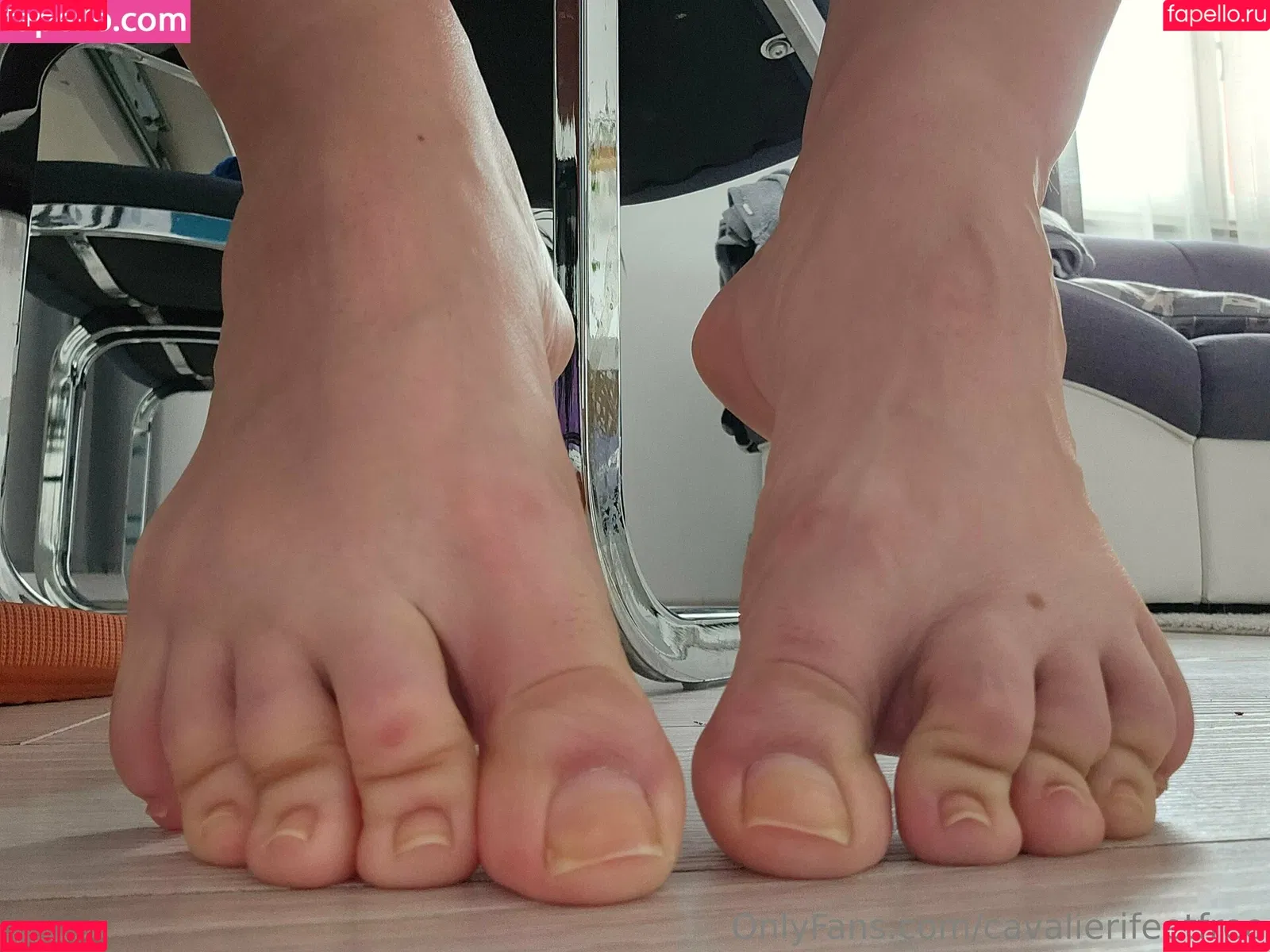 cavalierifeetfree Onlyfans Photo Gallery 