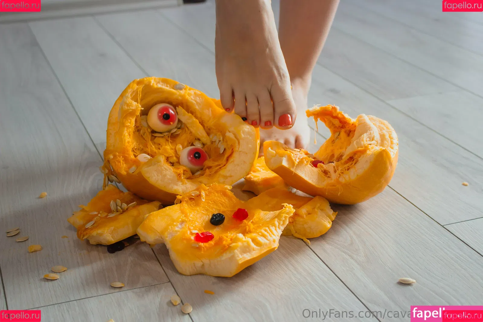 cavalierifeetfree Onlyfans Photo Gallery 
