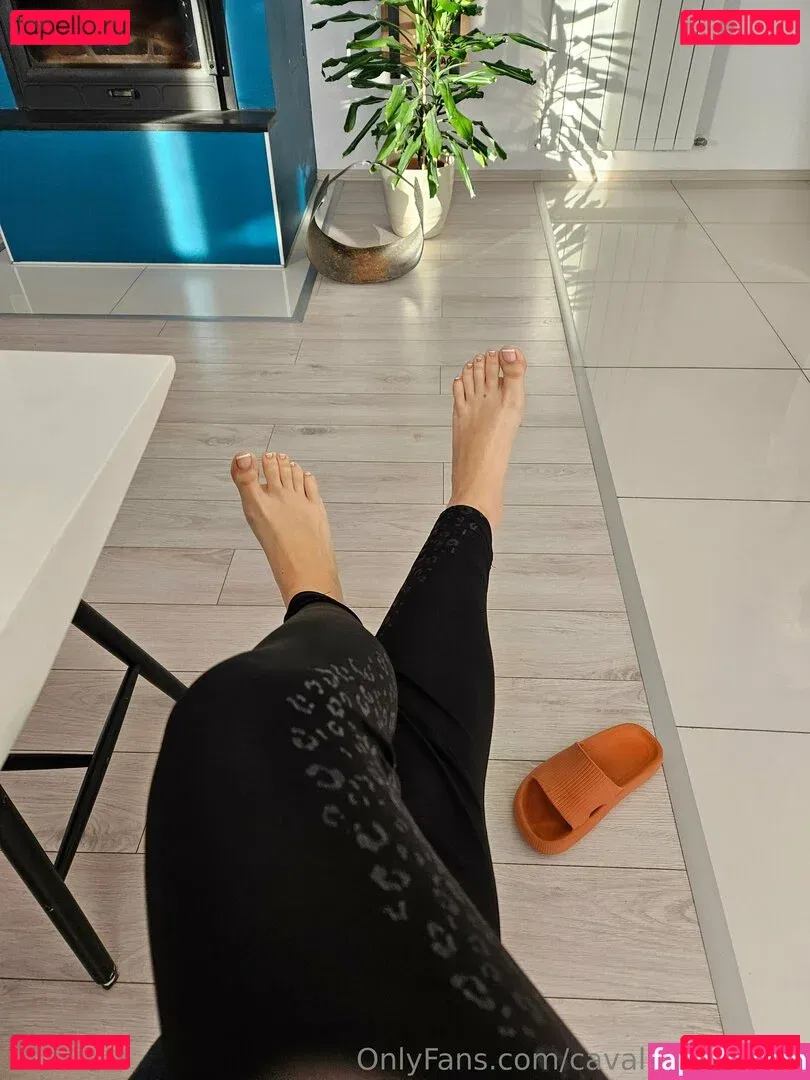 cavalierifeetfree Onlyfans Photo Gallery 