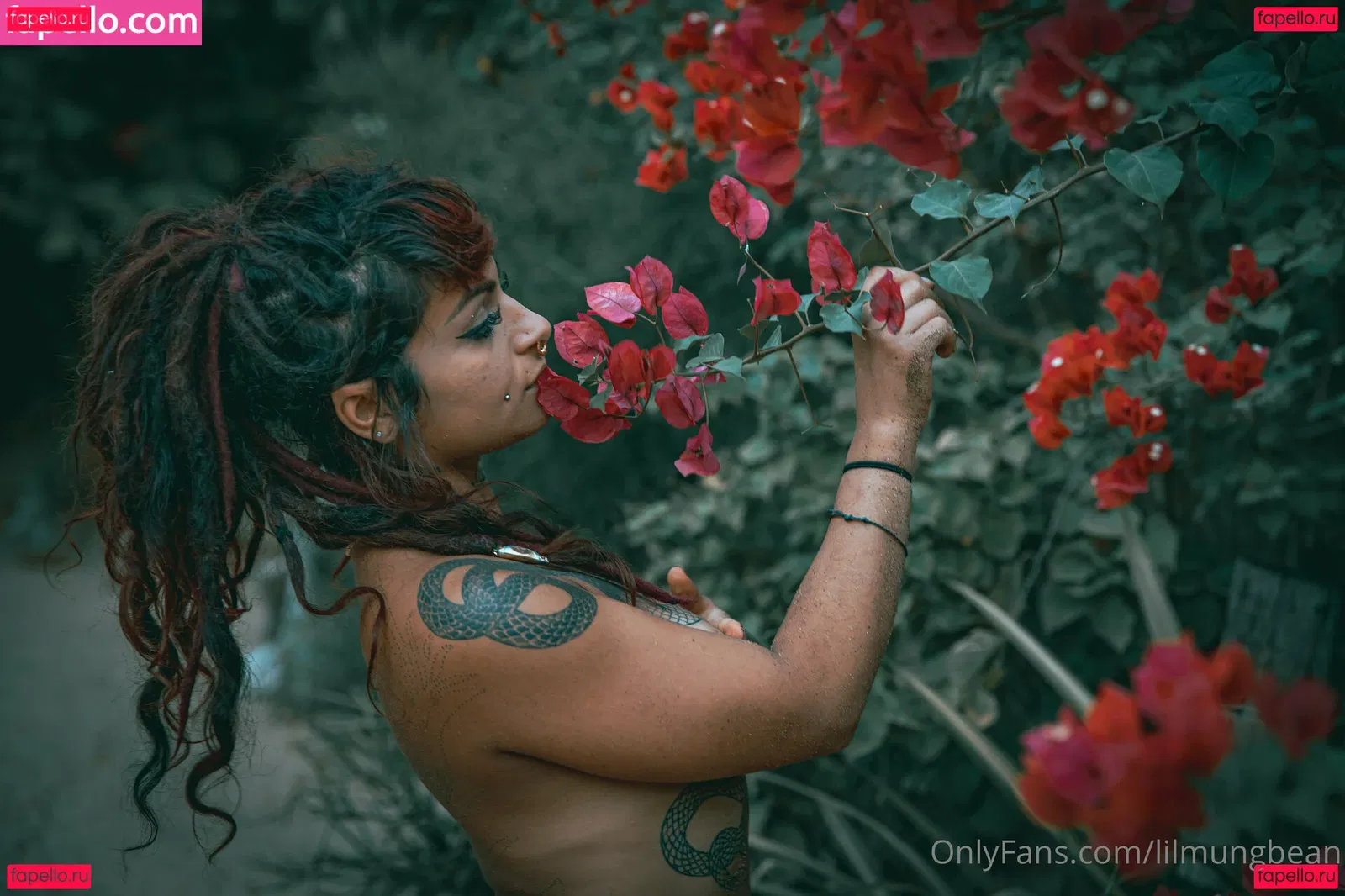 lilmungbean Onlyfans Photo Gallery 