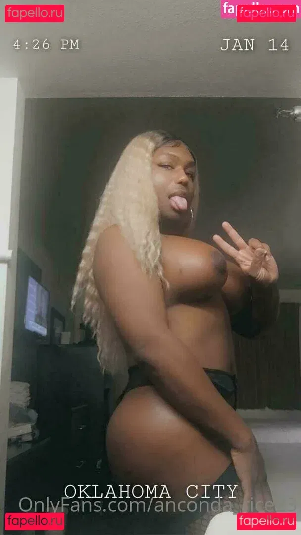 anconda_rice23 Onlyfans Photo Gallery 