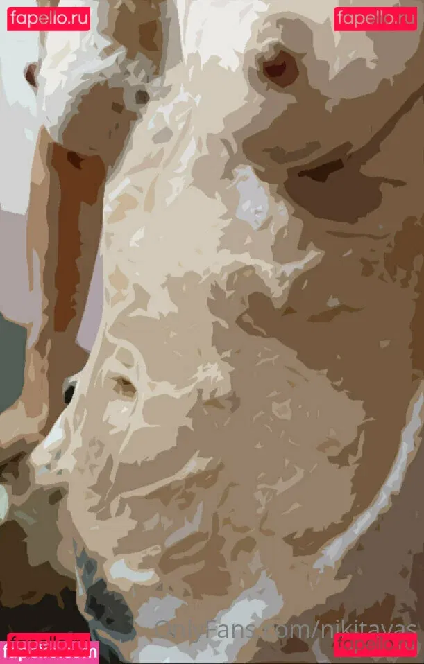 nikitavas Onlyfans Photo Gallery 