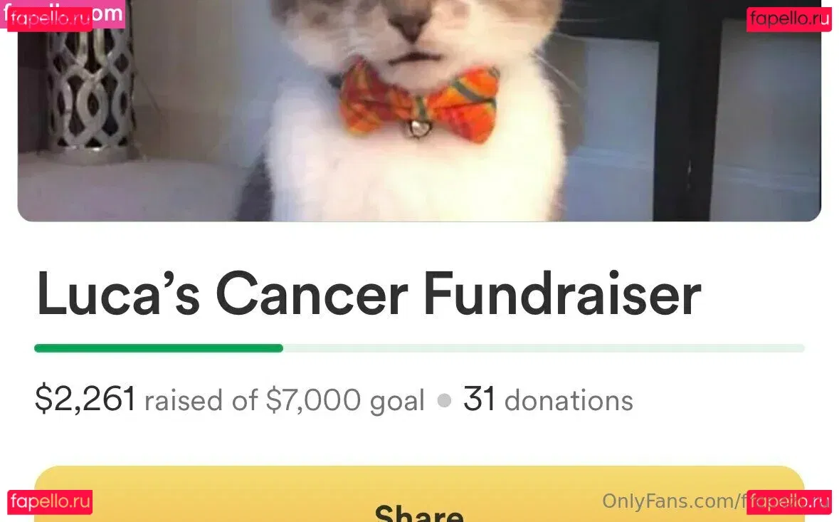 freeazura Onlyfans Photo Gallery 