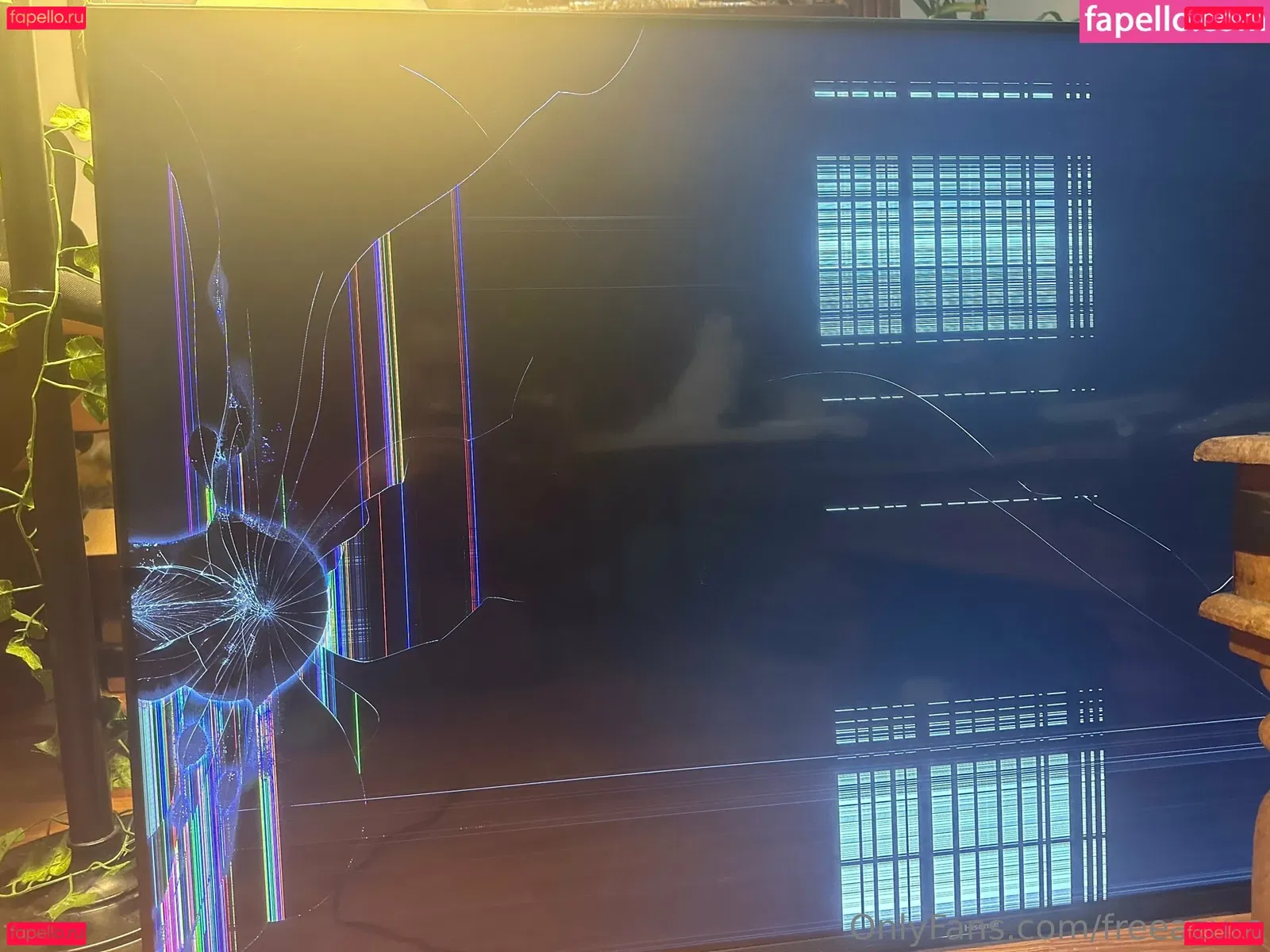 freeazura Onlyfans Photo Gallery 