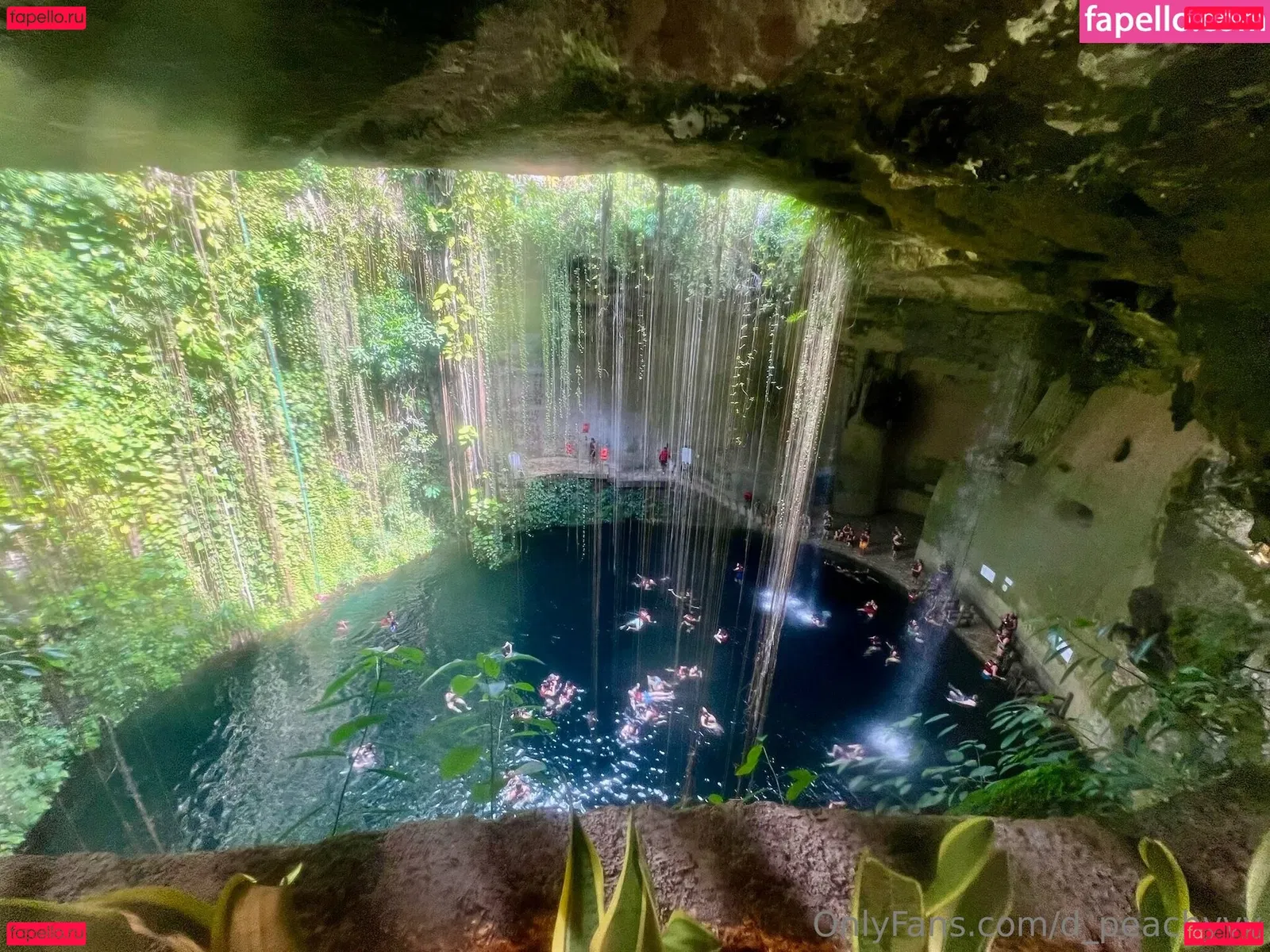 d_peachyyy Onlyfans Photo Gallery 