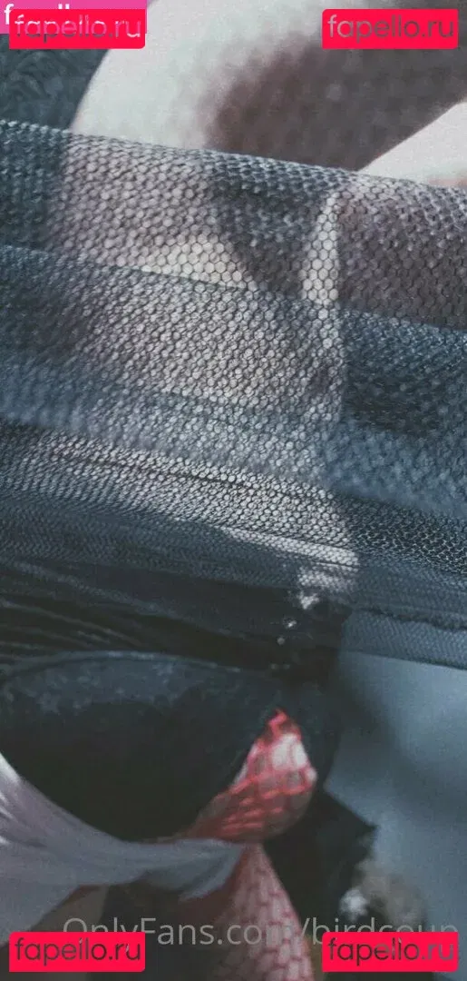 Birdcoup Onlyfans Photo Gallery 