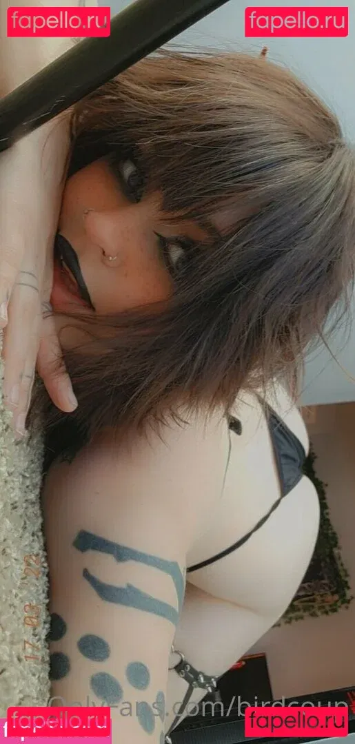 Birdcoup Onlyfans Photo Gallery 