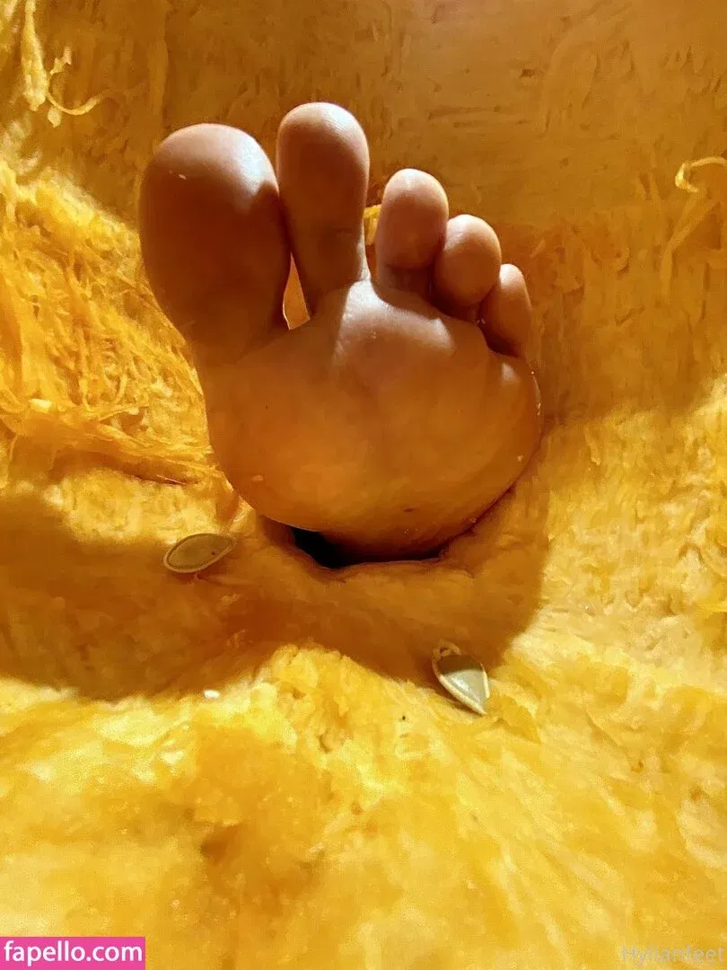 ZeldaHyrule Onlyfans Photo Gallery 