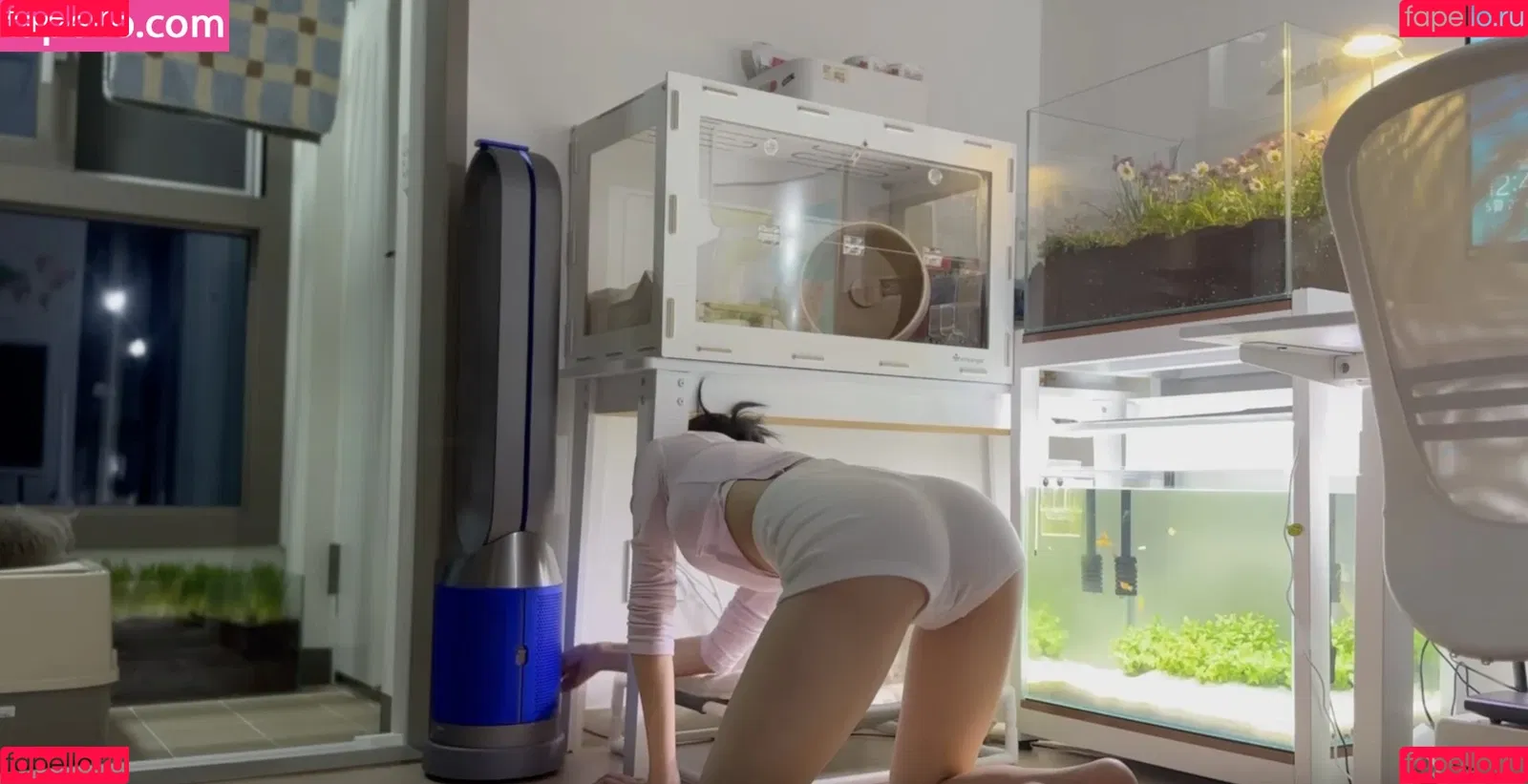 Seoa Onlyfans Photo Gallery 